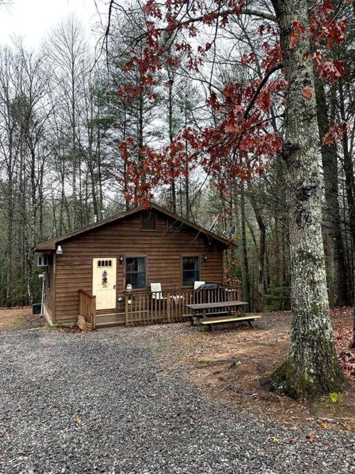 Private Cozy Cabin In The Woods With Great View Мерфи Экстерьер фото