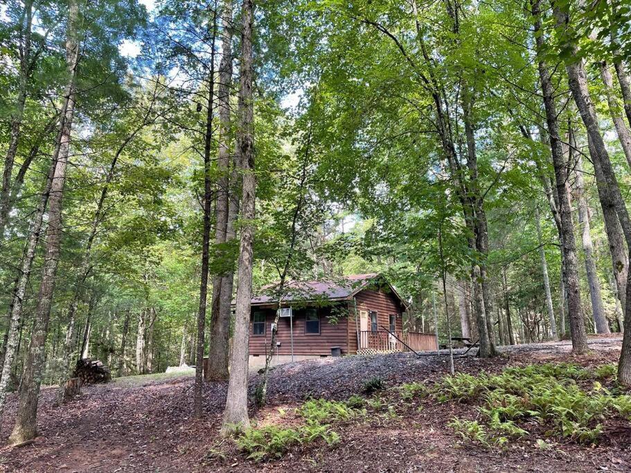 Private Cozy Cabin In The Woods With Great View Мерфи Экстерьер фото